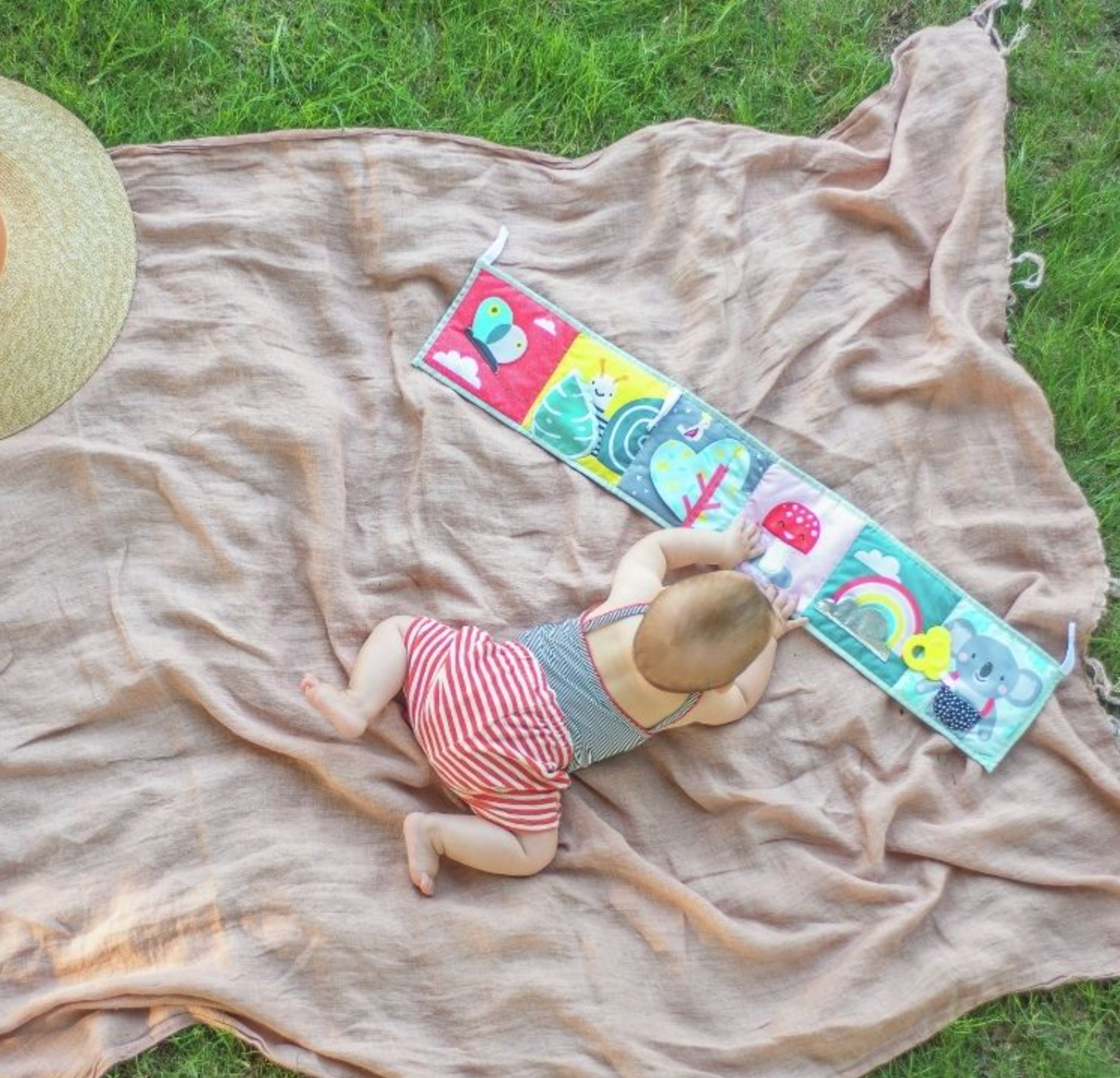 Taf toys clip on pram book shop