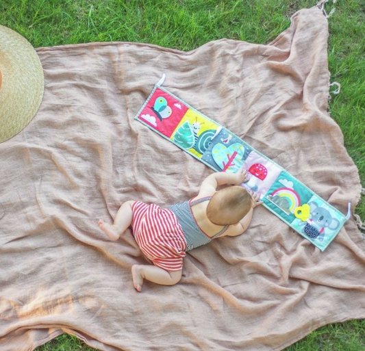 Taf toys Clip on Pram Book