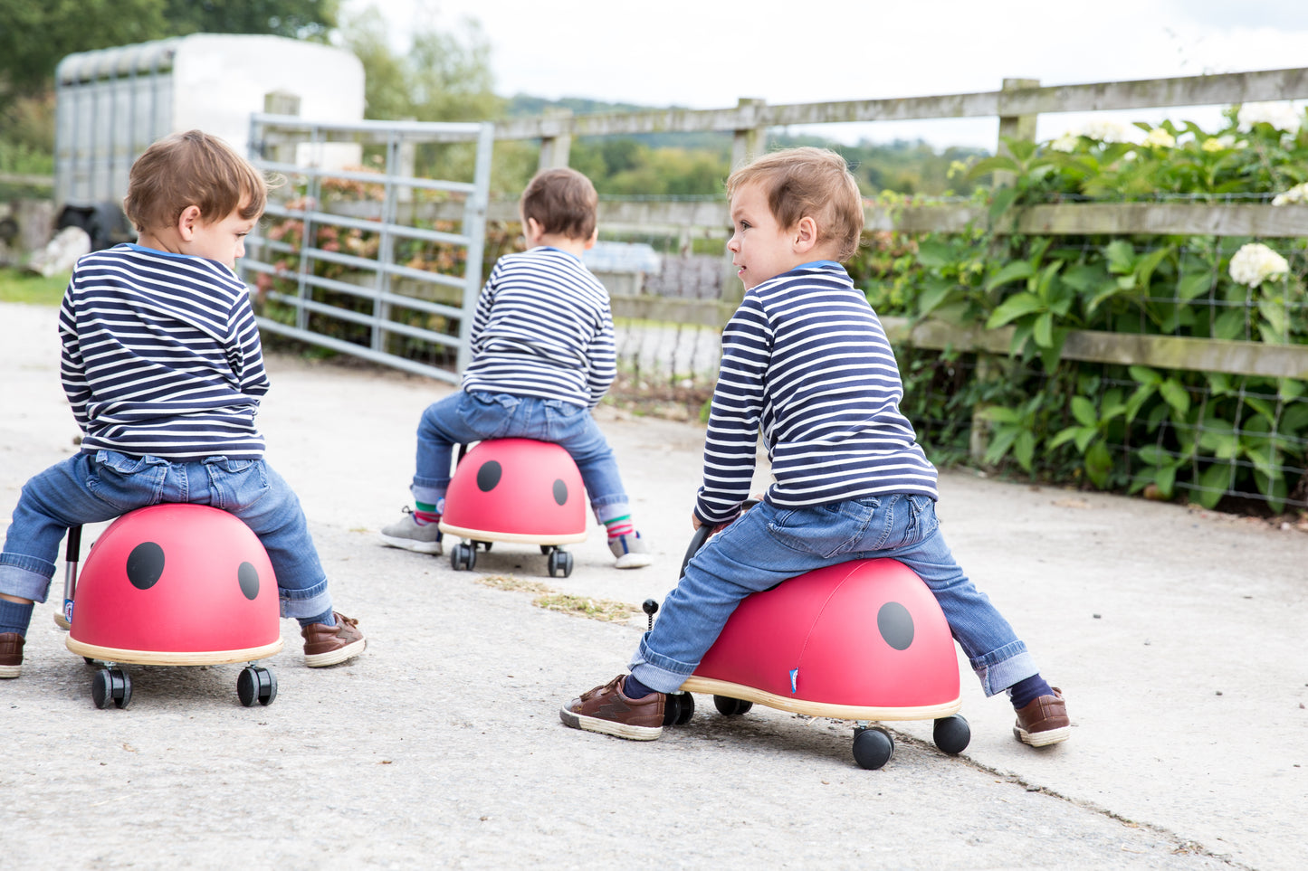 Wheelybug Ride On Ladybird