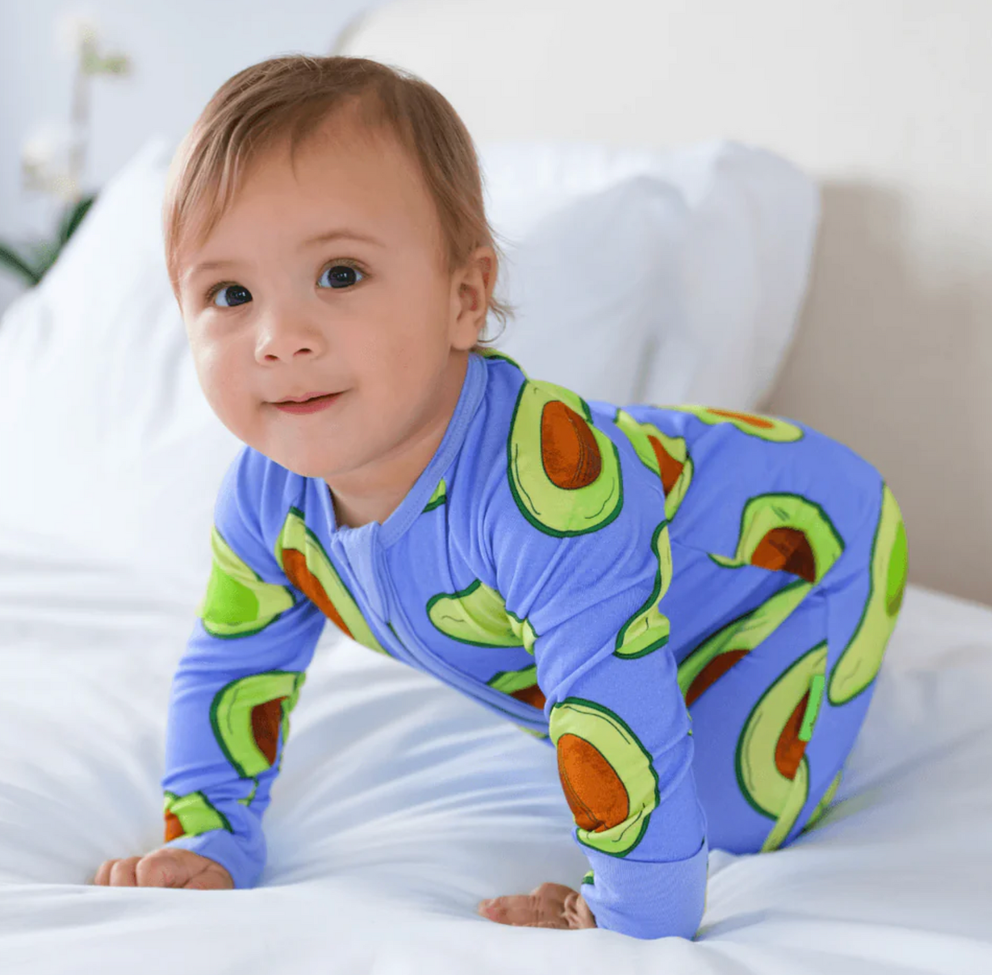 Zipster Avocado