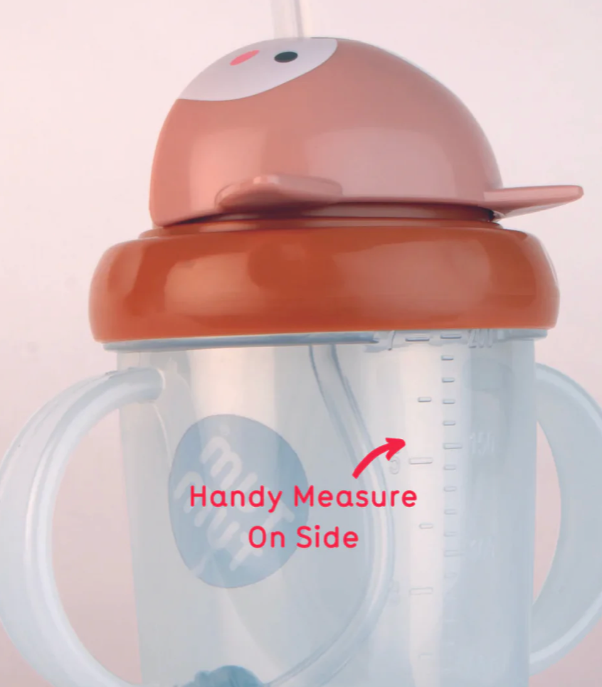 Transitioning from bottle or Breast Feeding  to cup