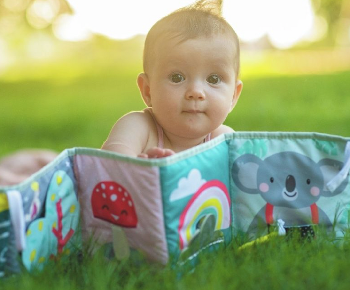 Taf toys clip on pram book outlet