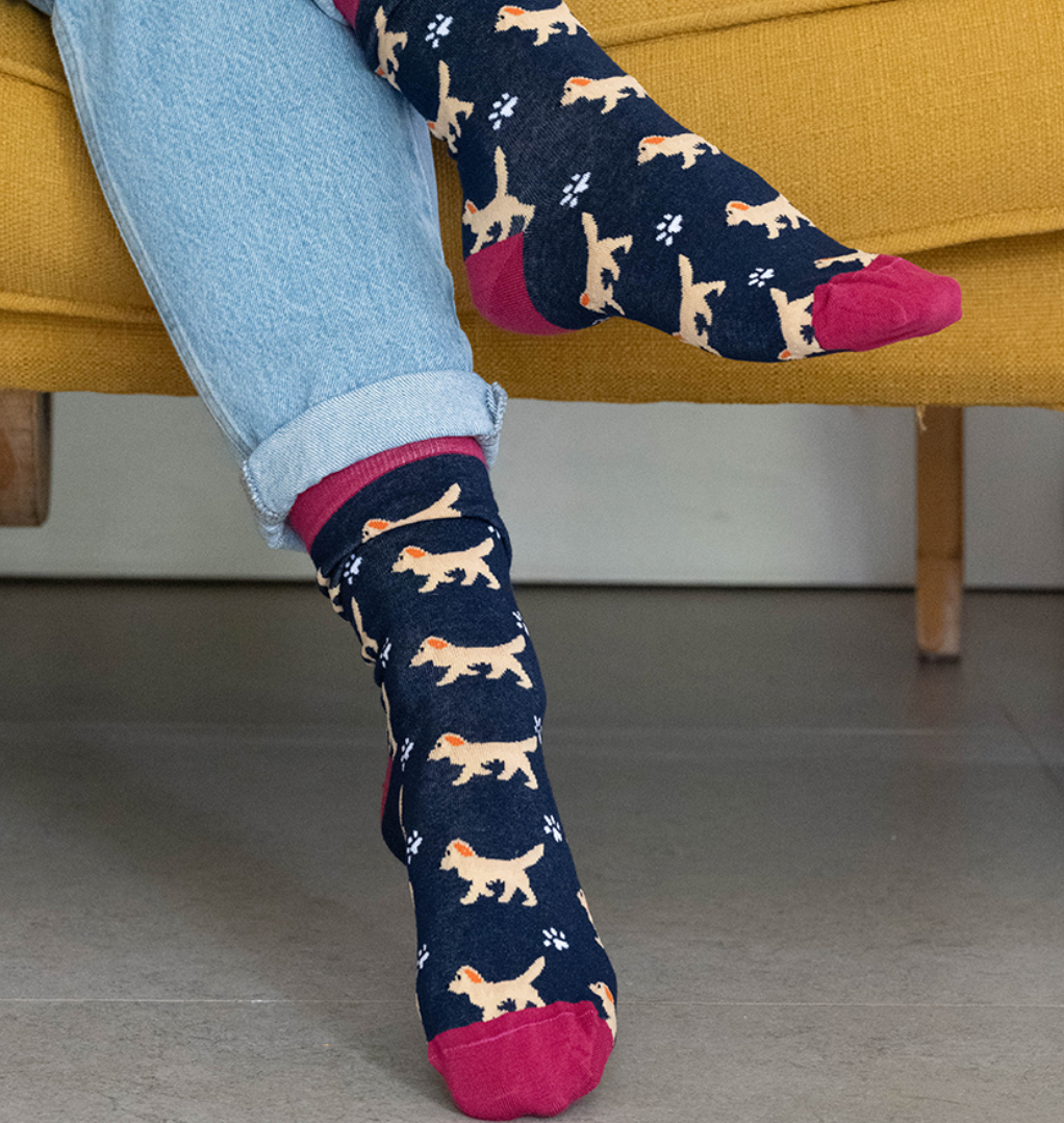 Wine and navy spaniel themed recycled ankle socks
