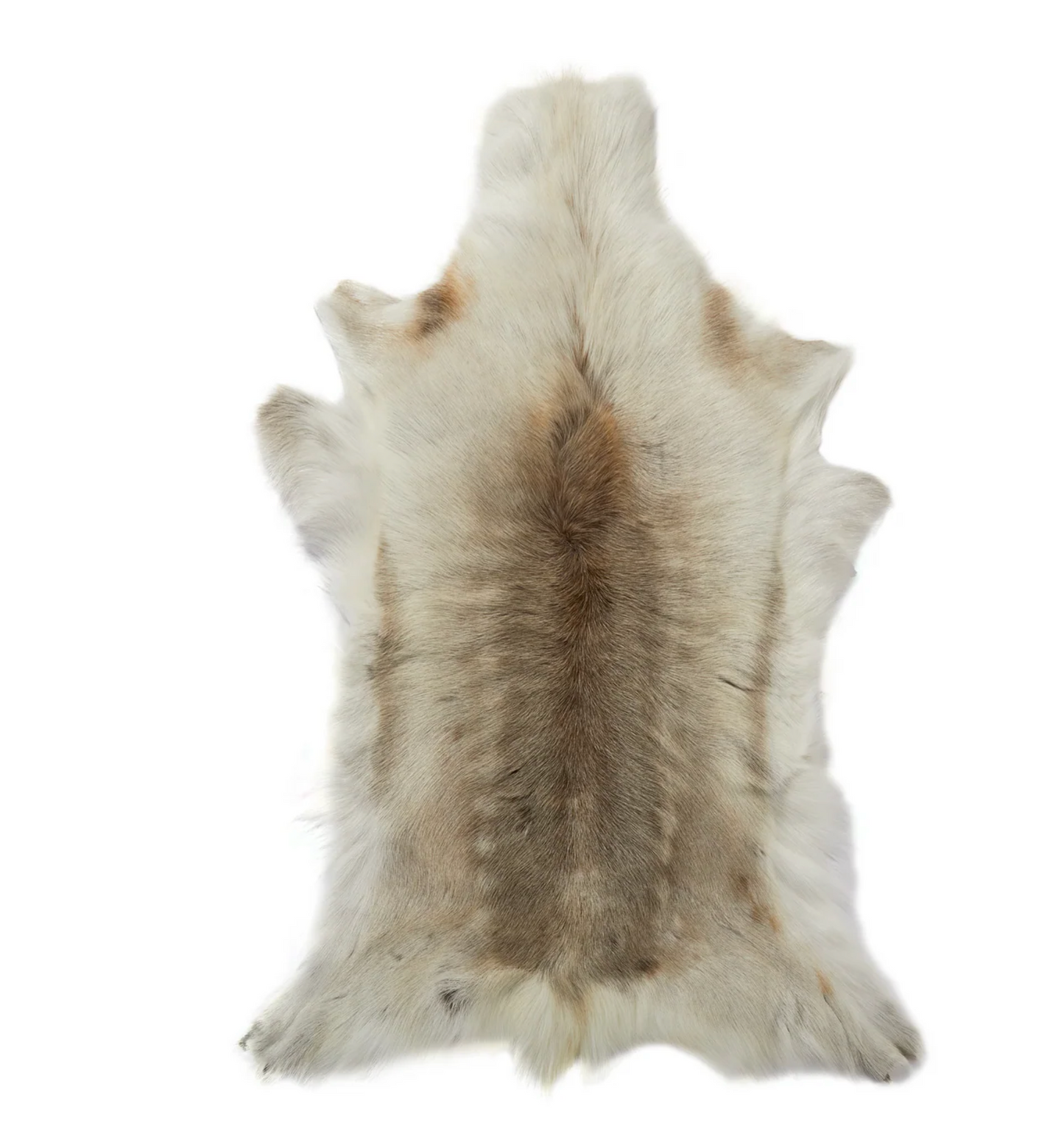Light Coloured Reindeer Hide