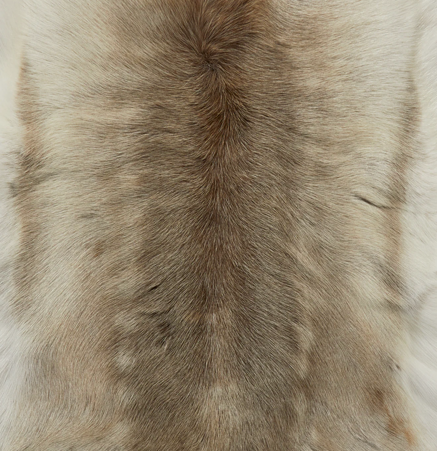 Light Coloured Reindeer Hide