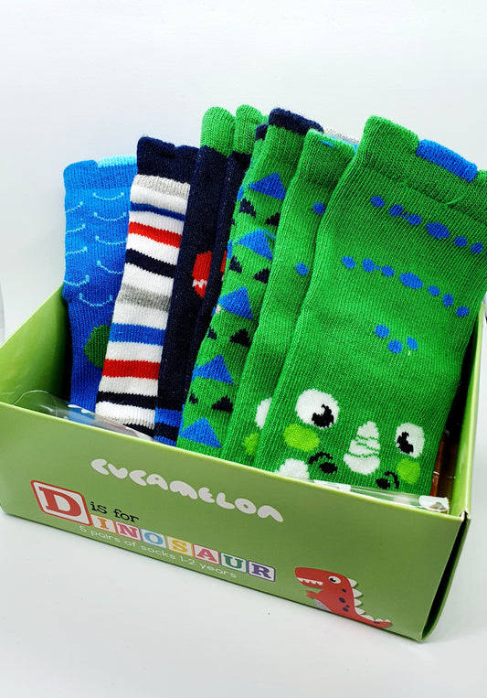 Toddler socks – D is for Dinosaur size 1-2 years