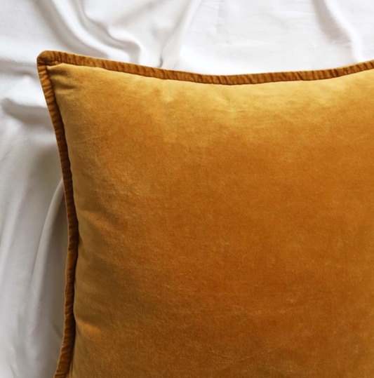 Golden Stone washed velvet Cushion